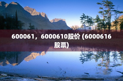 600061，6000610股价 (6000616股票)