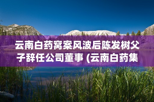 云南白药窝案风波后陈发树父子辞任公司董事 (云南白药集团爆发窝案)