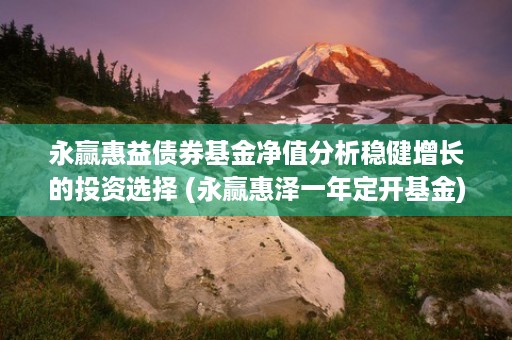 永赢惠益债券基金净值分析稳健增长的投资选择 (永赢惠泽一年定开基金)