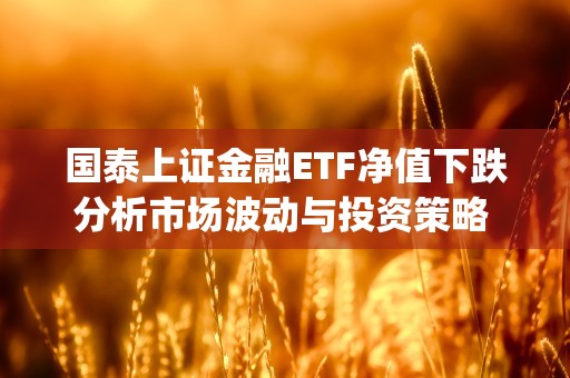 国泰上证金融ETF净值下跌分析市场波动与投资策略 (国泰金融etf联接基金)