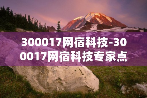 300017网宿科技-300017网宿科技专家点评 (300017网宿科技东方财富股吧)