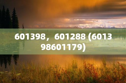 601398，601288 (601398601179)