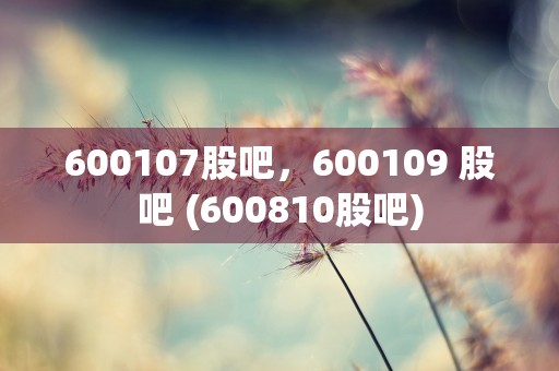 600107股吧，600109 股吧 (600810股吧)