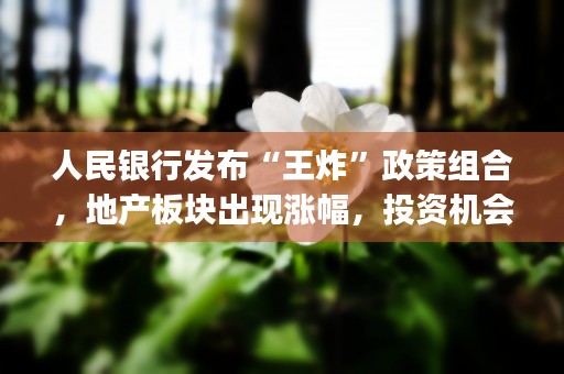 人民银行发布“王炸”政策组合，地产板块出现涨幅，投资机会真来了？ (人民银行王政)