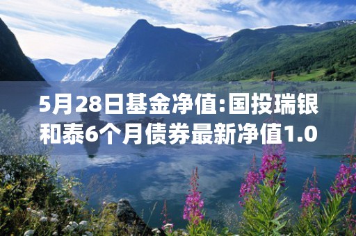 5月28日基金净值:国投瑞银和泰6个月债券最新净值1.0311,涨0.03%1天前 (5月6日基金净值)