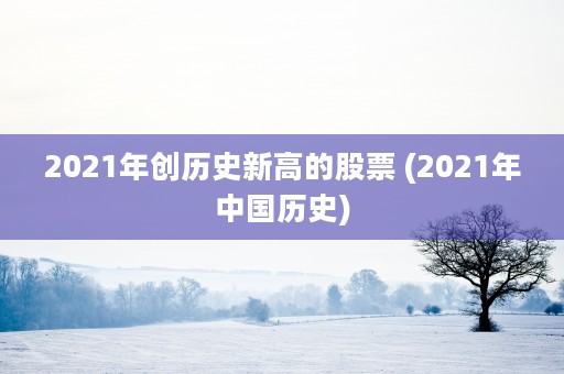 2021年创历史新高的股票 (2021年中国历史)