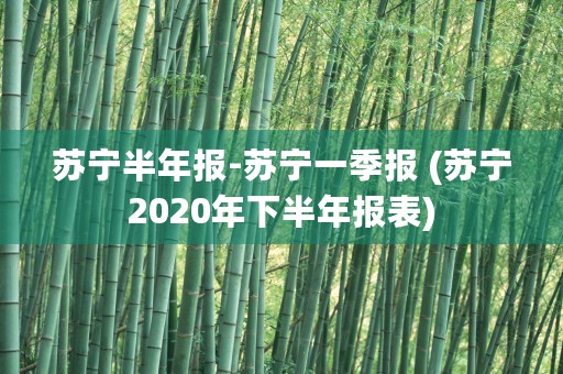 苏宁半年报-苏宁一季报 (苏宁2020年下半年报表)