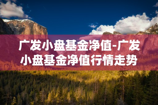 广发小盘基金净值-广发小盘基金净值行情走势图最新 (广发小盘基金净值行情走势图最新)