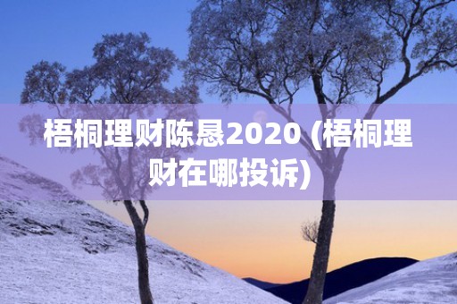 梧桐理财陈恳2020 (梧桐理财在哪投诉)