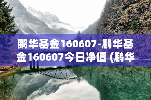 鹏华基金160607-鹏华基金160607今日净值 (鹏华基金160630净值查询)