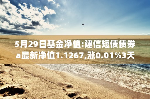 5月29日基金净值:建信短债债券a最新净值1.1267,涨0.01%3天前 (5.31基金)