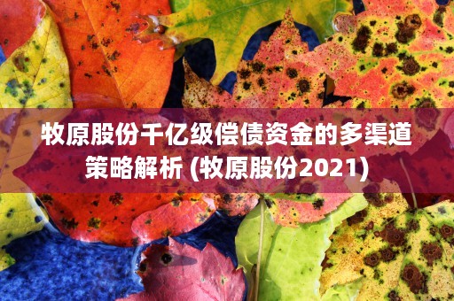 牧原股份千亿级偿债资金的多渠道策略解析 (牧原股份2021)