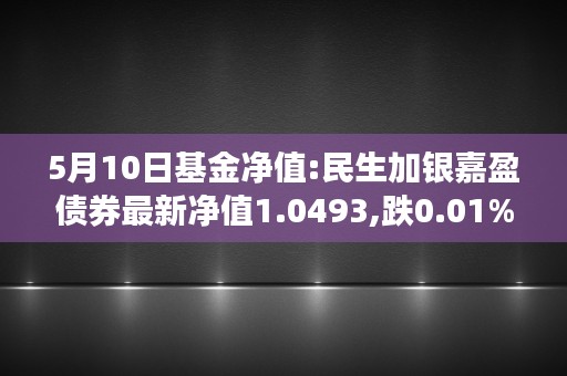 5月10日基金净值:民生加银嘉盈债券最新净值1.0493,跌0.01%