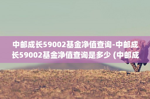 中邮成长59002基金净值查询-中邮成长59002基金净值查询是多少 (中邮成长59002基金估值)