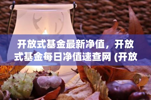 开放式基金最新净值，开放式基金每日净值速查网 (开放式基金实时行情)