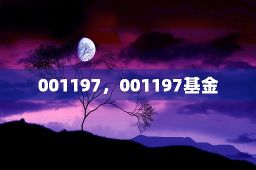 001197，001197基金