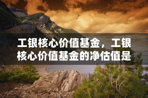 工银核心价值基金，工银核心价值基金的净估值是多少 (工银核心价值基金适合定投吗)