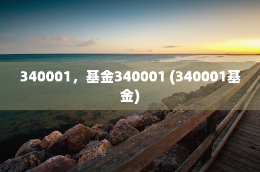 340001，基金340001 (340001基金)