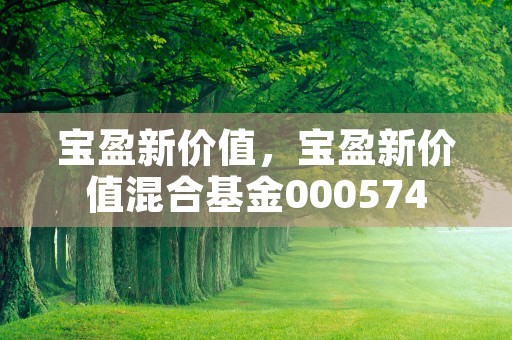 宝盈新价值，宝盈新价值混合基金000574