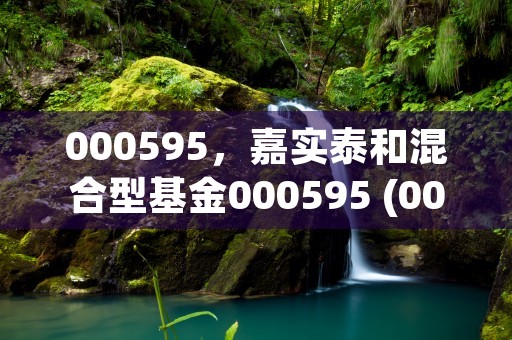 000595，嘉实泰和混合型基金000595 (000595)