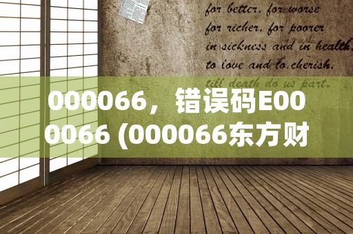 000066，错误码E000066 (000066东方财富股吧)