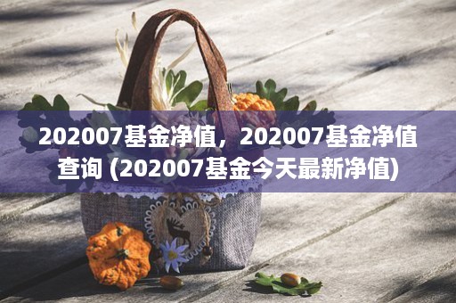 202007基金净值，202007基金净值查询 (202007基金今天最新净值)