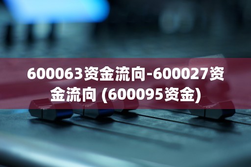 600063资金流向-600027资金流向 (600095资金)