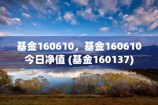 基金160610，基金160610今日净值 (基金160137)