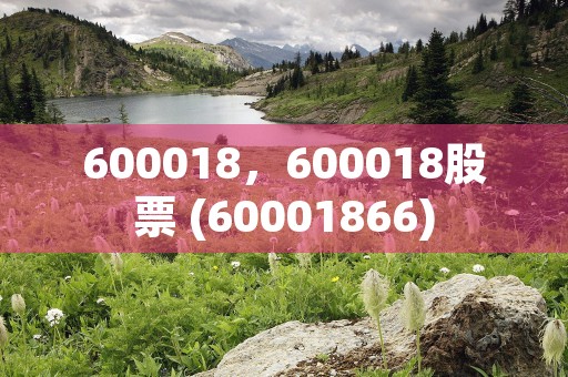 600018，600018股票 (60001866)