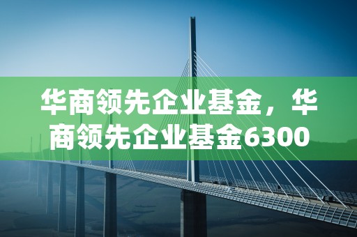 华商领先企业基金，华商领先企业基金630001 (华商领先企业混合基金收益率)