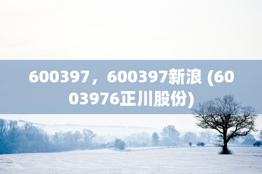 600397，600397新浪 (6003976正川股份)