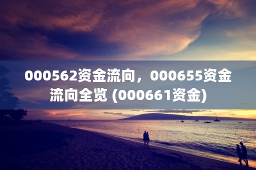 000562资金流向，000655资金流向全览 (000661资金)