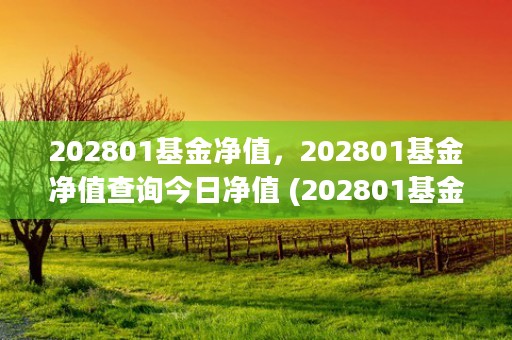 202801基金净值，202801基金净值查询今日净值 (202801基金净值查询今天)