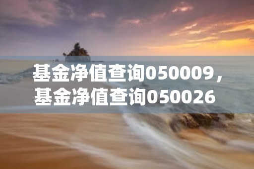 基金净值查询050009，基金净值查询050026 (基金净值查询050026)