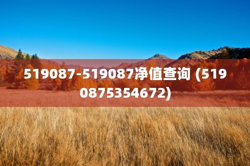 519087-519087净值查询 (5190875354672)