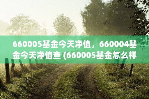 660005基金今天净值，660004基金今天净值查 (660005基金怎么样能崩盘不)