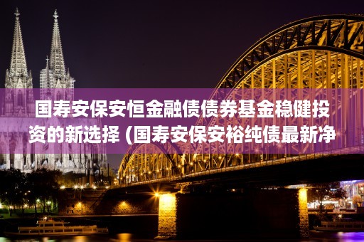 国寿安保安恒金融债债券基金稳健投资的新选择 (国寿安保安裕纯债最新净值)