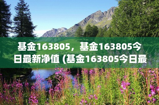 基金163805，基金163805今日最新净值 (基金163805今日最新净值)