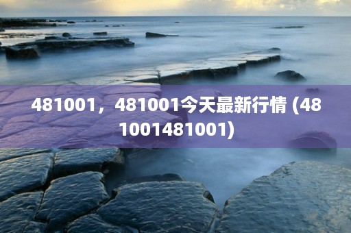 481001，481001今天最新行情 (481001481001)