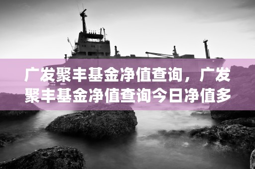 广发聚丰基金净值查询，广发聚丰基金净值查询今日净值多少 (广发聚丰基金净值是多少)