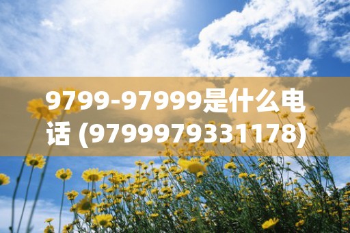 9799-97999是什么电话 (9799979331178)