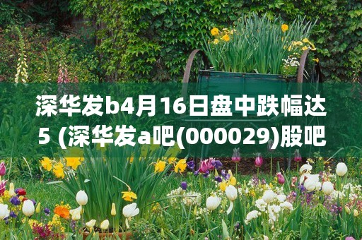 深华发b4月16日盘中跌幅达5 (深华发a吧(000029)股吧)