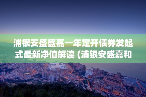 浦银安盛盛嘉一年定开债券发起式最新净值解读 (浦银安盛嘉和稳健一年)