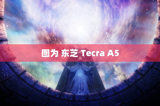 图为 东芝 Tecra A5