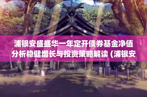 浦银安盛盛华一年定开债券基金净值分析稳健增长与投资策略解读 (浦银安盛价值精选混合a封闭期)