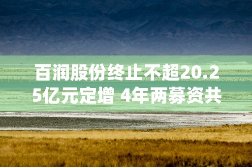 百润股份终止不超20.25亿元定增 4年两募资共21亿 (百润股份最新消息)