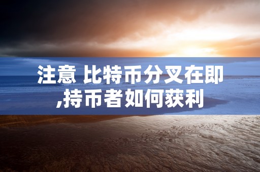 注意 比特币分叉在即,持币者如何获利