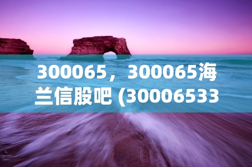 300065，300065海兰信股吧 (30006533)