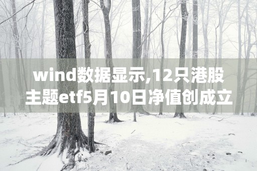 wind数据显示,12只港股主题etf5月10日净值创成立以来新高,港股红利 (wind数据是什么意思)