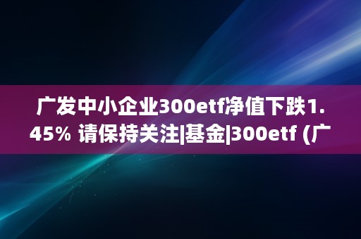 广发中小企业300etf净值下跌1.45% 请保持关注|基金|300etf (广发小企业手机银行下载)